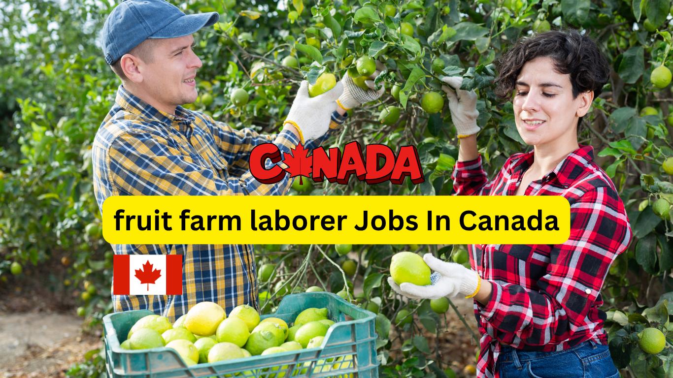 fruit farm laborer Jobs In Canada