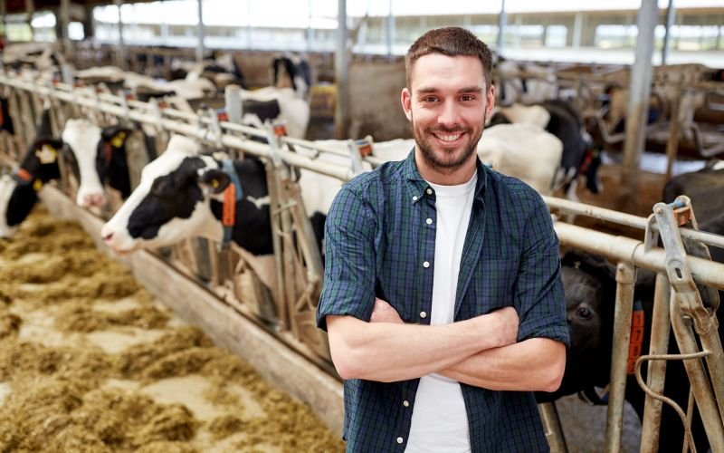 Dairy Farm Jobs in Italy