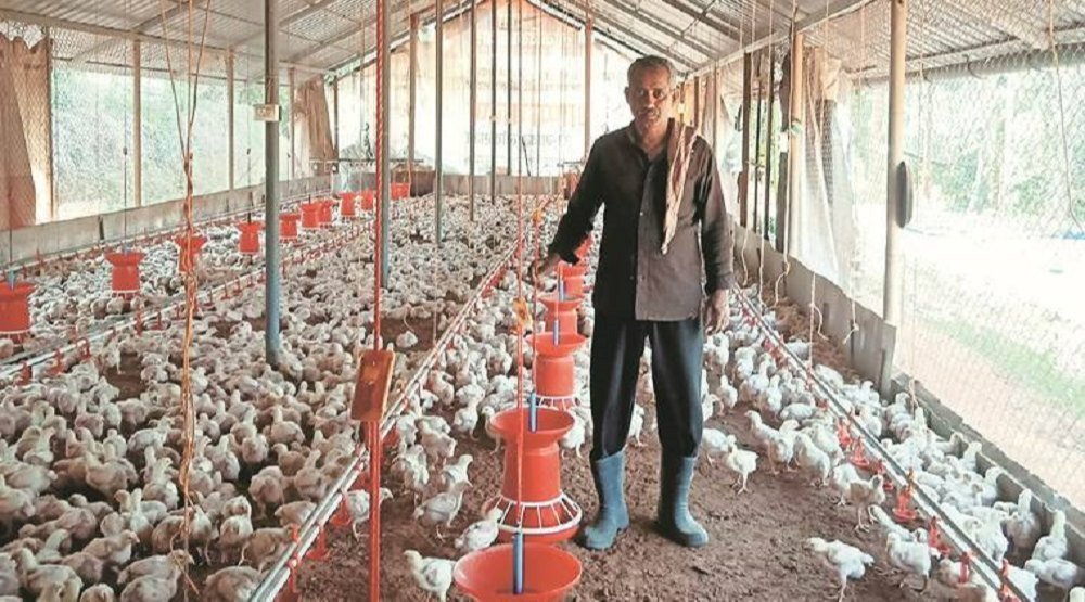 Poultry Farm Team in Italy – Casual Work Opportunities Available!