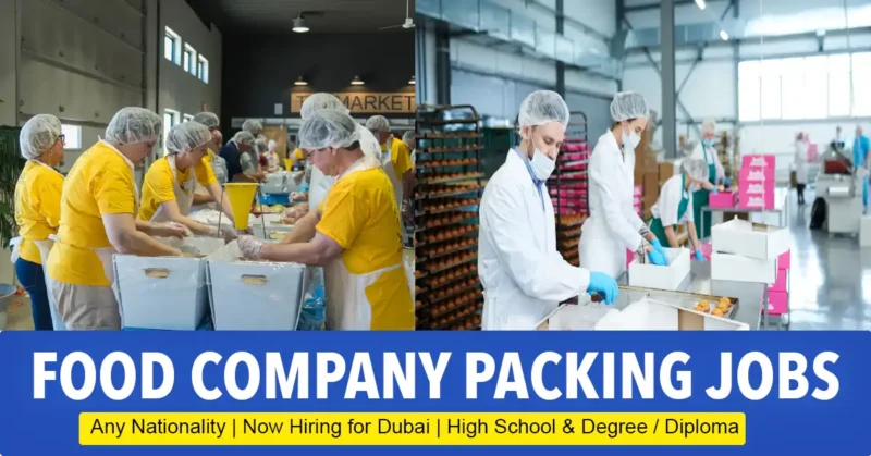 Jobs in Food Packaging Companies in Qatar: Salary, Categories, and How to Apply