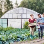 Canada Vegetable Farm